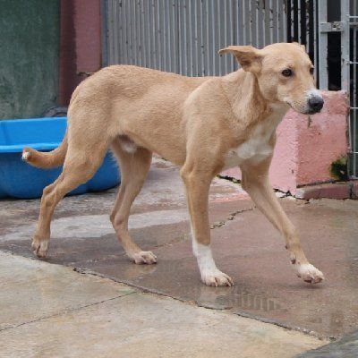 250406
