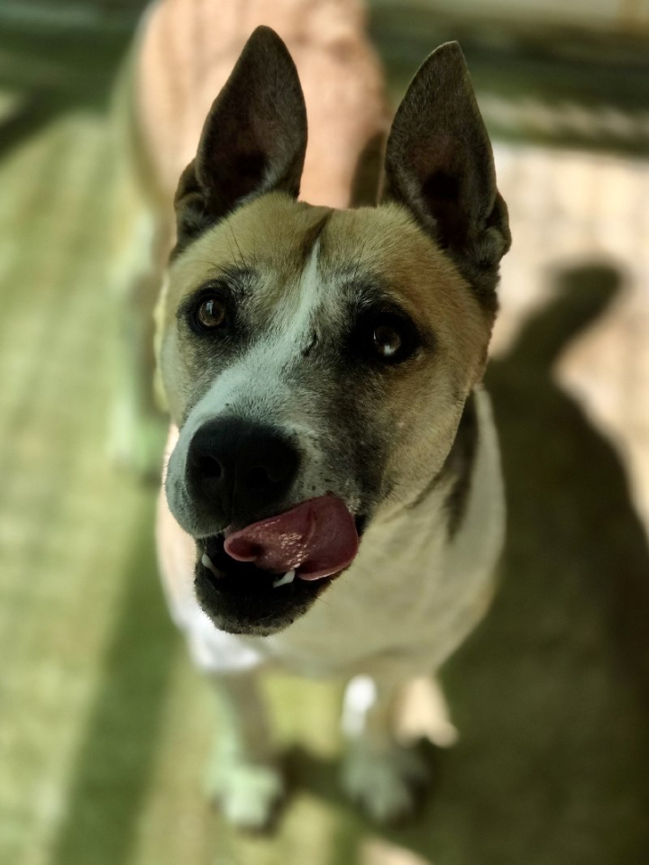 251201