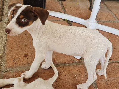 256017