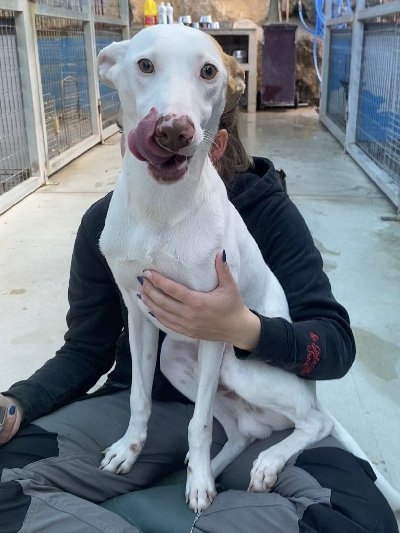 256235
