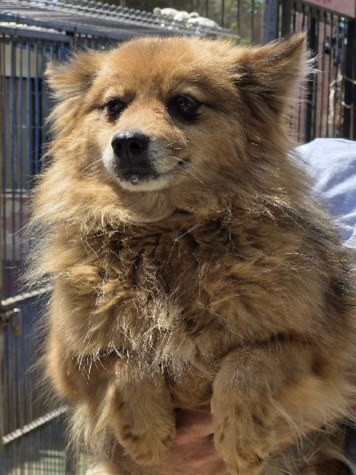 258601