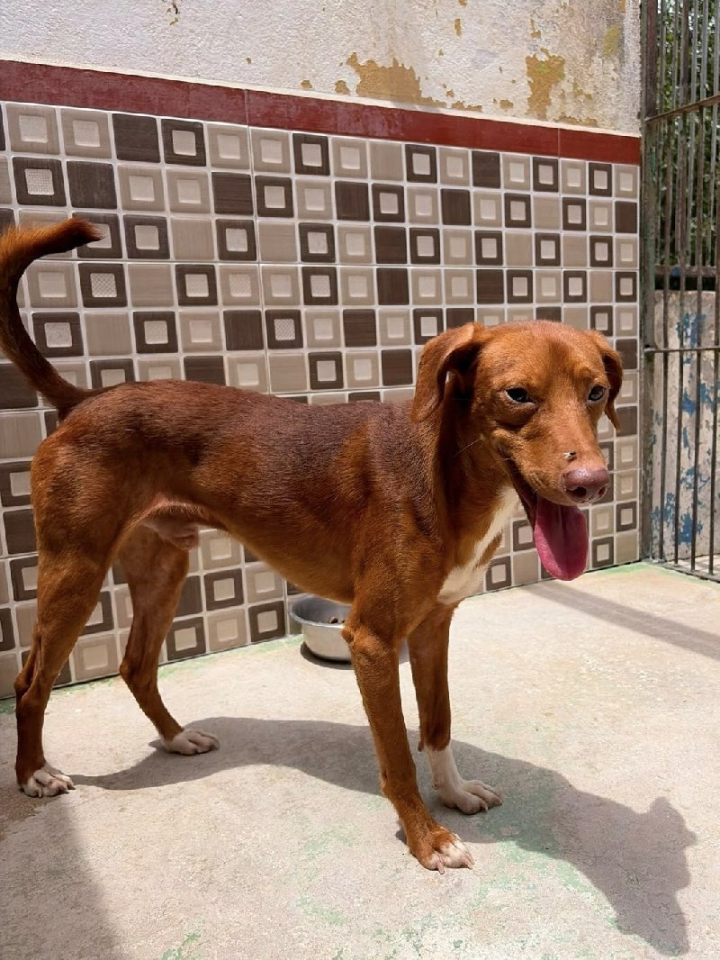 258607